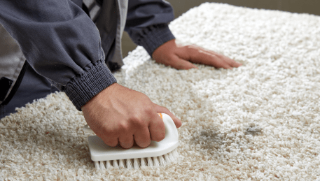 Professional Rug Cleaning Hmas Cerberus