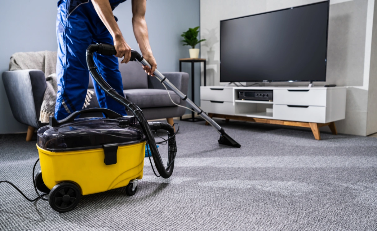 Extract Rug Cleaning Hmas Cerberus Contact Office